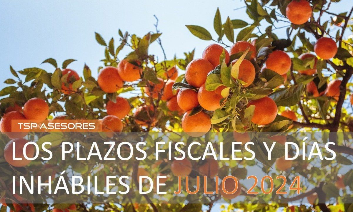 Los plazos fiscales y días inhábiles de julio 2024