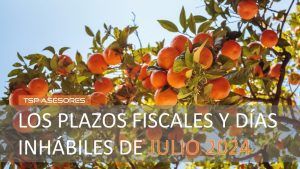 Lee más sobre el artículo Los plazos fiscales y días inhábiles de julio 2024