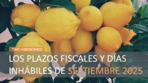 Lee más sobre el artículo Los plazos fiscales y días inhábiles de septiembre 2025