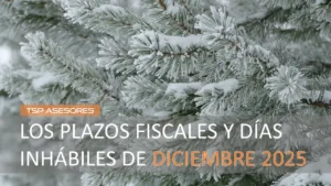 Lee más sobre el artículo Los plazos fiscales y días inhábiles de diciembre 2025