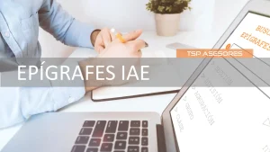 Epígrafes IAE de Actividad Economica