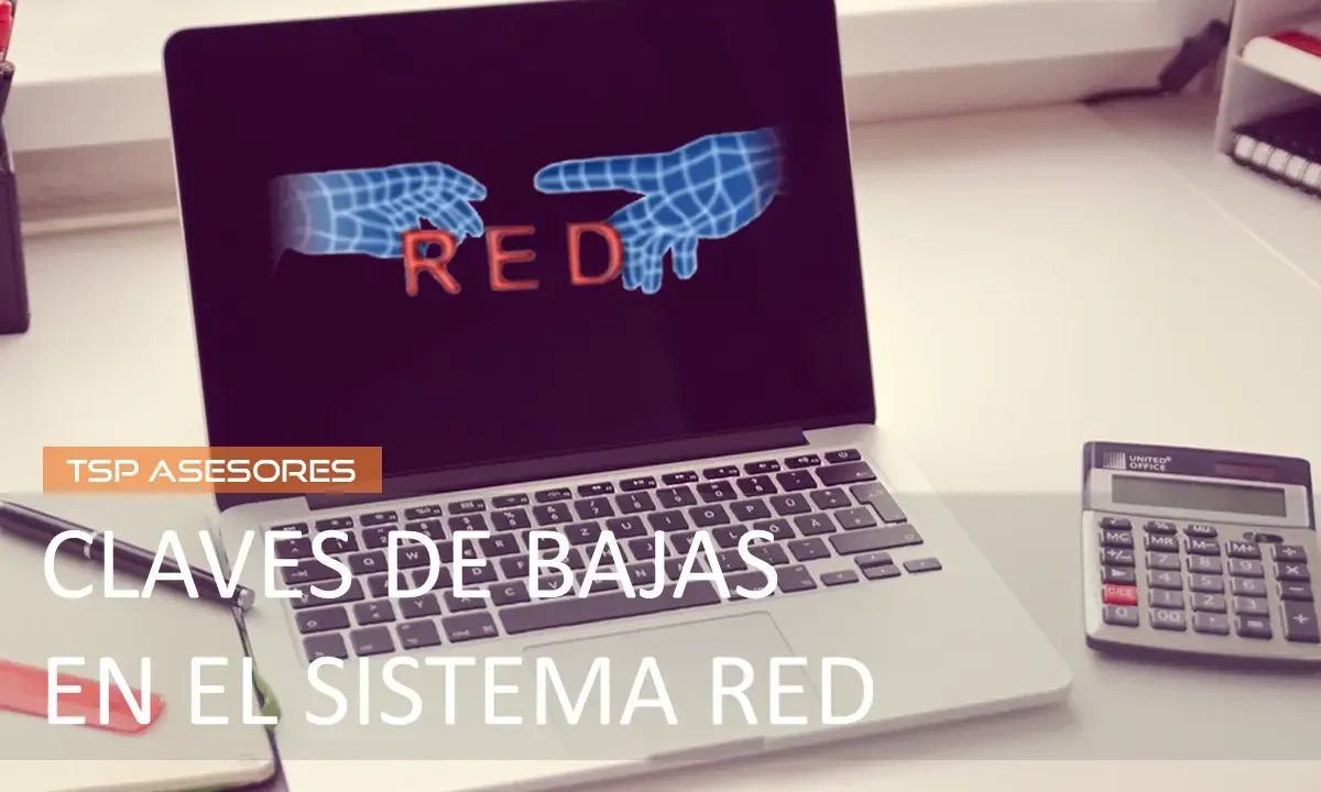 Claves de bajas en el Sistema RED