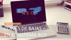 Claves de bajas en el Sistema RED
