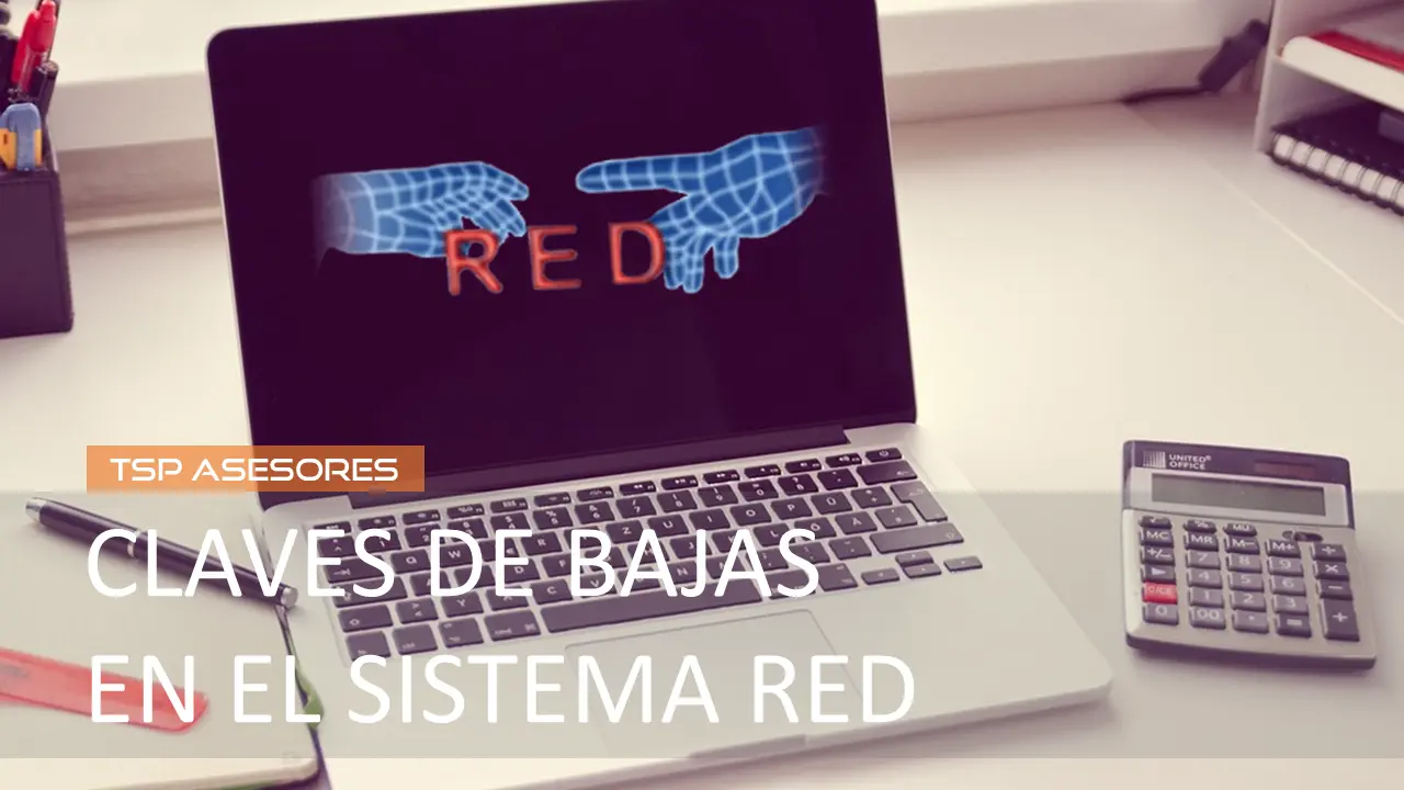 Claves de bajas en el Sistema RED