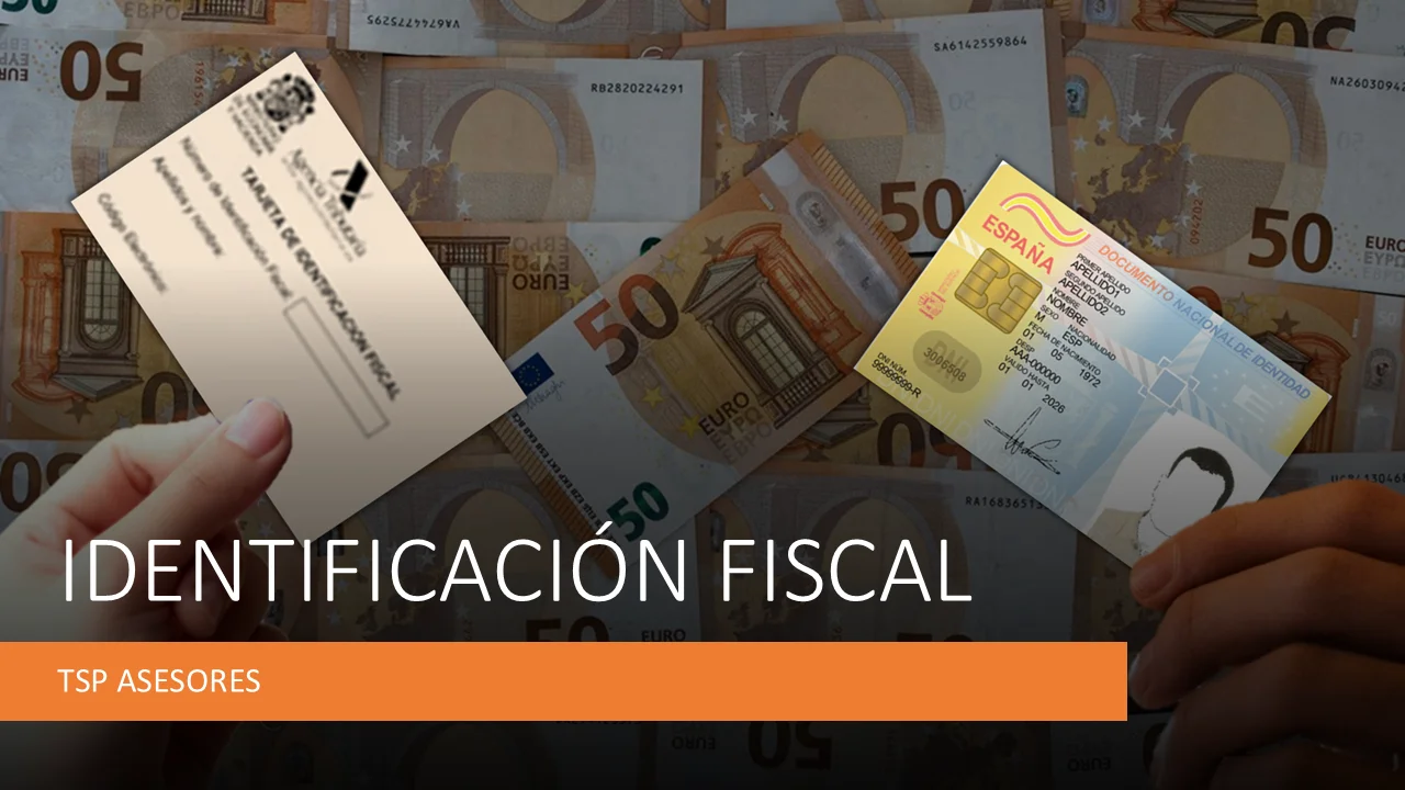 Guía Completa sobre los Identificadores Fiscales