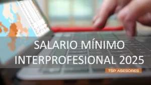 Salario Mínimo Interprofesional 2025