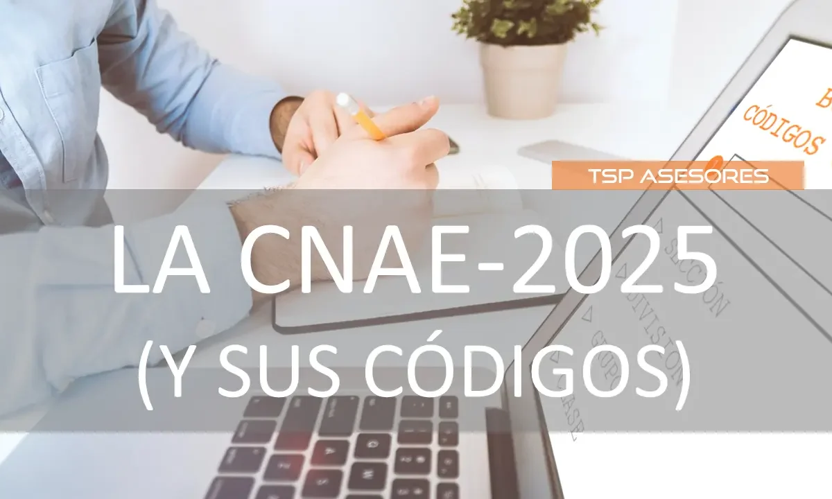 La CNAE 2025 (y sus códigos)