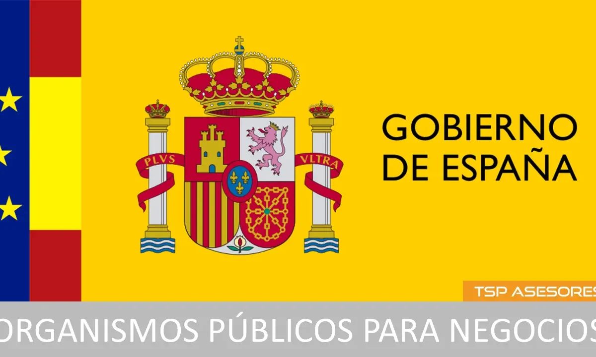 Organismos públicos para negocios: Guía esencial
