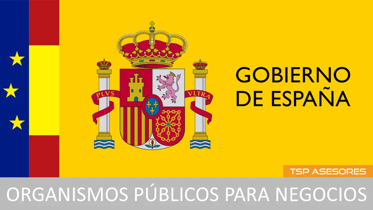 Organismos públicos para negocios
