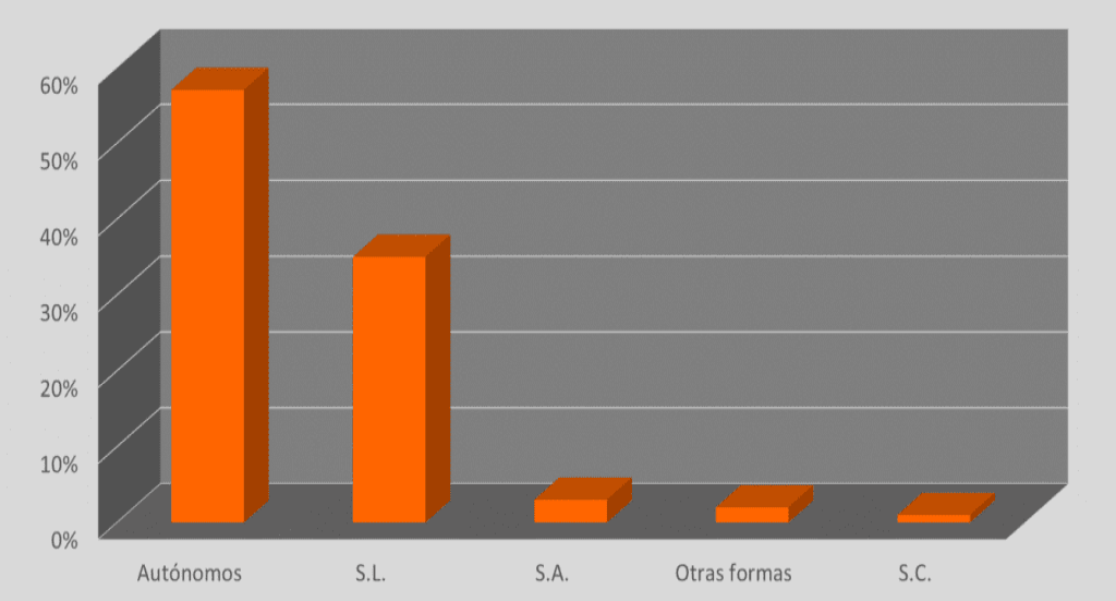 TSP ASESORES NUEVA ACTIVIDAD