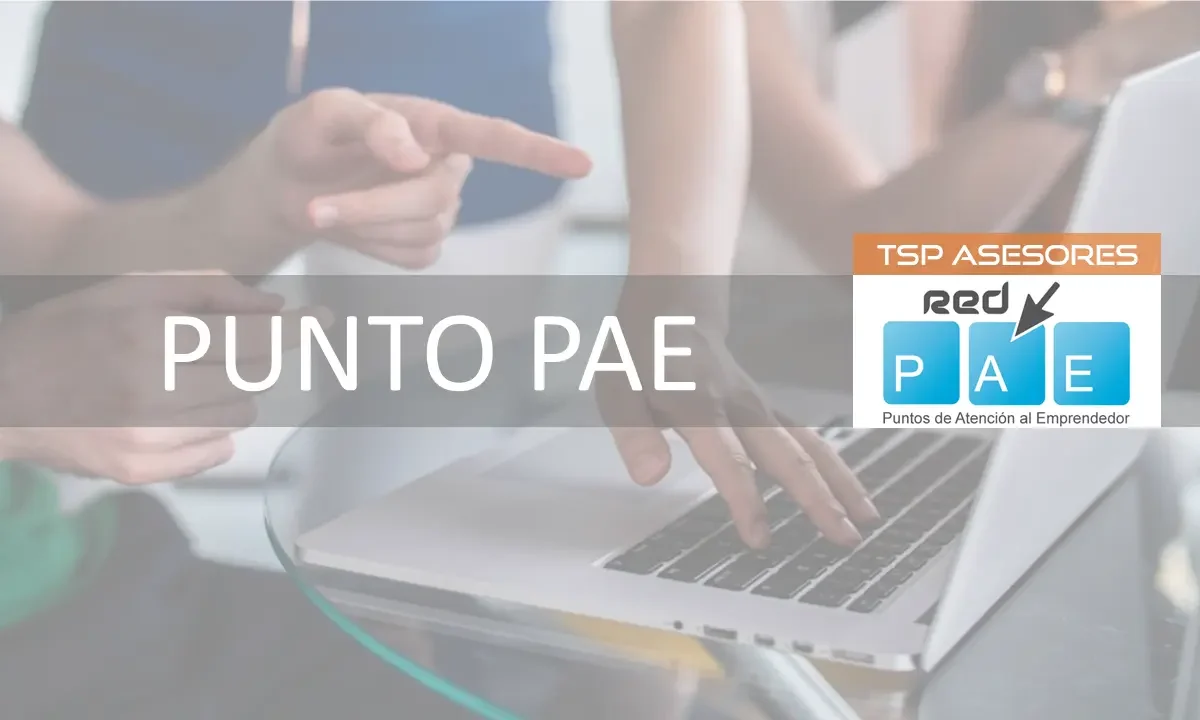 Punto PAE